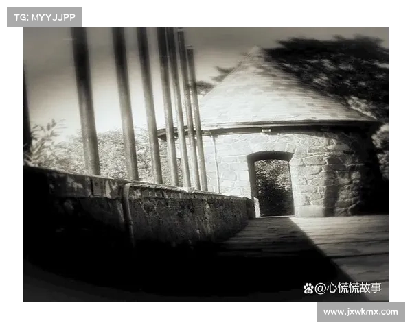 从民间信仰到文化记忆探索恐怖传说背后的社会心理与象征意义