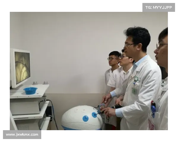 虚拟现实中的自由之战七大战略解析与应对技巧探索