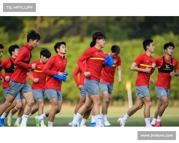 归化国脚重返中超：五大挑战揭秘