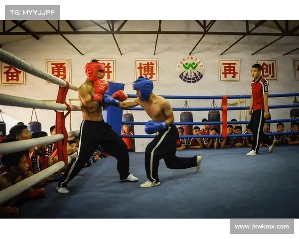 拳击比赛魅力解读：赛制结构与精彩节目内容的深度分析